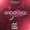 Vandalism - Shocking Sounds 14 (Sylenth presets)