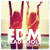 1642 Beats - EDM Lead Tools Vol.1 (WAV) - сэмплы EDM, Electro House, Progressive House
