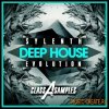 Class A Samples Sylenth Deep House Evolution (Sylenth presets) Class A Samples Sylenth Deep House Evolution (Sylenth presets)