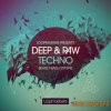 Loopmasters - Deep and Raw Techno (MULTiFORMAT) - сэмплы Techno Loopmasters - Deep and Raw Techno (MULTiFORMAT) - сэмплы Techno