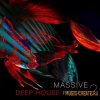 SPF Samplers - Massive Deep House Presets 2 (Massive presets) SPF Samplers - Massive Deep House Presets 2 (Massive presets)