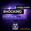 Vandalism - Shocking Future House For A.N.A (Sonic Academy ANA пресеты)