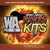 WA Production What About Smashing FL Studio Kits (WAV MiDi FLP) - проект FL Studio WA Production What About Smashing FL Studio Kits (WAV MiDi FLP) - проект FL Studio