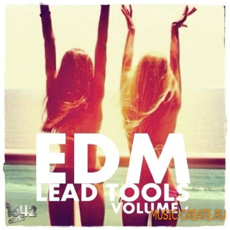 1642 Beats - EDM Lead Tools Vol.1 (WAV) - сэмплы EDM, Electro House, Progressive House