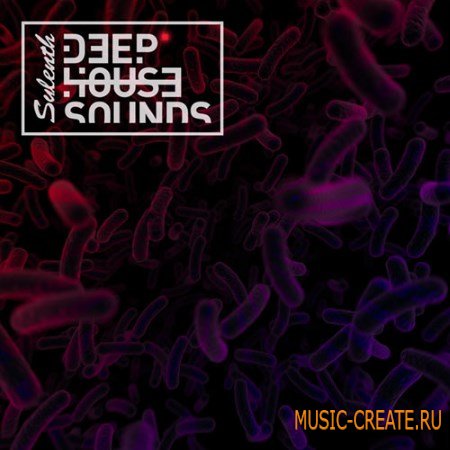 Diginoiz - Sylenth Deep House Sounds (Sylenth presets)
