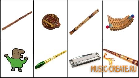 T D Samples - Wind Instruments Bundle (KONTAKT) - библиотеки звуков духовых инструментов