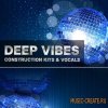 Pulsed Records - Deep Vibes Construction Kits and Vocals (WAV) - сэмплы House Pulsed Records - Deep Vibes Construction Kits and Vocals (WAV) - сэмплы House