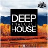 Rankin Audio - Deep Analogue House (WAV MiDi) - сэмплы Deep House Rankin Audio - Deep Analogue House (WAV MiDi) - сэмплы Deep House