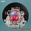 Sample Magic - MIDI Elements Future Melodics (WAV MiDi) - мелодии и сэмплы Chillout, Indie-Dance Sample Magic - MIDI Elements Future Melodics (WAV MiDi) - мелодии и сэмплы Chillout, Indie-Dance