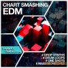 Sample Tweakers - Chart Smashing EDM (WAV MiDi Ni Massive) - сэмплы EDM Sample Tweakers - Chart Smashing EDM (WAV MiDi Ni Massive) - сэмплы EDM
