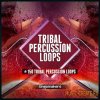 Singomakers - Tribal Percussion Loops (WAV REX2) - сэмплы перкуссии