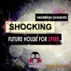 Vandalism - Shocking Future House (Spire presets) Vandalism - Shocking Future House (Spire presets)