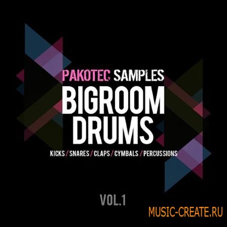 Pakotec Samples - Big Room Drums Vol.1 (WAV) - сэмплы ударных