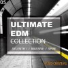 Bingoshakerz - Ultimate EDM Collection (Sylenth1 / NI Massive / Spire Presets) Bingoshakerz - Ultimate EDM Collection (Sylenth1 / NI Massive / Spire Presets)