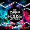Party Design - Top Deep House Melodies Vol 1 (WAV MiDi) - сэмплы Deep House Party Design - Top Deep House Melodies Vol 1 (WAV MiDi) - сэмплы Deep House