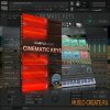 Sample Logic - CINEMATIC KEYS (KONTAKT) - библиотека звуков клавишных инструментов Sample Logic - CINEMATIC KEYS (KONTAKT) - библиотека звуков клавишных инструментов