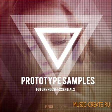 Prototype Samples - Future House Essentials (WAV MiDi) - сэмплы House