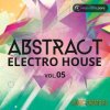 Producer Loops - Abstract Electro House Vol.5 (WAV MiDi) - сэмплы Electro House Producer Loops - Abstract Electro House Vol.5 (WAV MiDi) - сэмплы Electro House