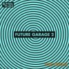 SM White Label - Future Garage 2 (WAV) - сэмплы garage, house