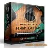 Soundiron - Brad Hoyts Harp Guitar (KONTAKT) - библиотека звуков акустической гитары-арфы Soundiron - Brad Hoyts Harp Guitar (KONTAKT) - библиотека звуков акустической гитары-арфы