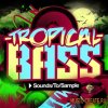 Sounds To Sample - Tropical Bass (WAV MiDi Maschine Project) - сэмплы Dubstep, Nu Rave, Hip Hop Sounds To Sample - Tropical Bass (WAV MiDi Maschine Project) - сэмплы Dubstep, Nu Rave, Hip Hop