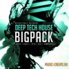 Delectable Records - Deep Tech House Big Pack (MULTiFORMAT) - сэмплы Tech House, Deep House Delectable Records - Deep Tech House Big Pack (MULTiFORMAT) - сэмплы Tech House, Deep House