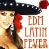 Fox Samples - EDM Latin Fever (WAV MIDI) - сэмплы EDM Fox Samples - EDM Latin Fever (WAV MIDI) - сэмплы EDM