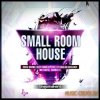 Singomakers - Small Room House (WAV REX2 Sylenth and Spire Presets) - сэмплы House Singomakers - Small Room House (WAV REX2 Sylenth and Spire Presets) - сэмплы House