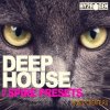 Hy2rogen - Deep House (Spire Presets) Hy2rogen - Deep House (Spire Presets)