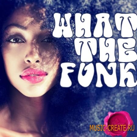 Fox Samples - What The Funk (WAV MiDi) - сэмплы Funk