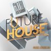CNTRL Samples - Future House (WAV MiDi Sylenth Massive and Spire Presets) - сэмплы Future House CNTRL Samples - Future House (WAV MiDi Sylenth Massive and Spire Presets) - сэмплы Future House