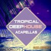 Function Loops Tropical Deep House Acapellas (WAV MiDi) - сэмплы Deep House