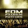 Pulsed Records - EDM Famous Patches (SYLENTH1 presets) Pulsed Records - EDM Famous Patches (SYLENTH1 presets)