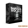Industrykits - Custom Vocal Kit V.1 (WAV) - вокальные сэмплы Industrykits - Custom Vocal Kit V.1 (WAV) - вокальные сэмплы