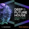 Philosophy - Deep and Future House NI Massive Presets Vol.1 (AiFF NMSV) - сэмплы Future House, Deep House Philosophy - Deep and Future House NI Massive Presets Vol.1 (AiFF NMSV) - сэмплы Future House, Deep House
