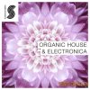Samplephonics - Organic House and Electronica (MULTiFORMAT) - сэмплы House, Electronica Samplephonics - Organic House and Electronica (MULTiFORMAT) - сэмплы House, Electronica
