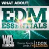 WA Production - What About: EDM Essentials (WAV MiDi) - сэмплы EDM WA Production - What About: EDM Essentials (WAV MiDi) - сэмплы EDM