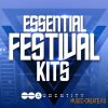 Audentity - Essential Festival Kits (WAV MiDi Sylenth Massive Spire and ANA) - сэмплы Progressive, Electro, Future House Audentity - Essential Festival Kits (WAV MiDi Sylenth Massive Spire and ANA) - сэмплы Progressive, Electro, Future House