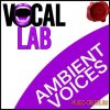 Fox Samples - Vocal Lab Ambient Voices (WAV) - вокальные сэмплы Fox Samples - Vocal Lab Ambient Voices (WAV) - вокальные сэмплы