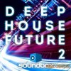 Soundbox - Deep House Future 2 (WAV) - сэмплы Deep House Soundbox - Deep House Future 2 (WAV) - сэмплы Deep House