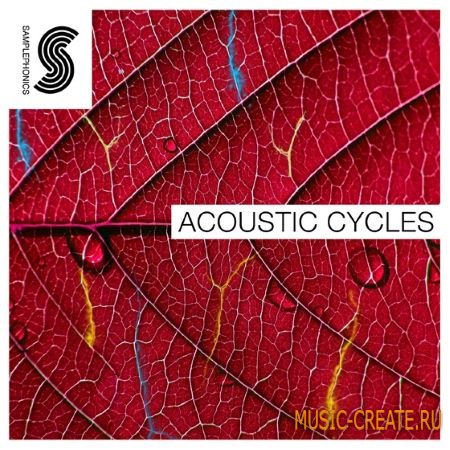 Samplephonics - Acoustic Cycles (MULTiFORMAT) - сэмплы Ambient