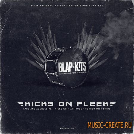 Illmind Special Limited Edition: Kicks On Fleek (WAV) - сэмплы бас-барабанов Illmind Special Limited Edition: Kicks On Fleek (WAV) - сэмплы бас-барабанов