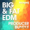 Incognet - Big and Fat EDM Producer Bundle (WAV MiDi Sylenth Massive Spire) - сэмплы EDM Incognet - Big and Fat EDM Producer Bundle (WAV MiDi Sylenth Massive Spire) - сэмплы EDM