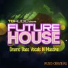 Industrial Strength - TD Audio Future House (WAV Ni Massive Battery) - сэмплы Future House Industrial Strength - TD Audio Future House (WAV Ni Massive Battery) - сэмплы Future House