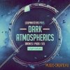 Loopmasters - Dark Atmospherics (MULTiFORMAT) - звуковые эффекты Loopmasters - Dark Atmospherics (MULTiFORMAT) - звуковые эффекты