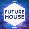 Platinum Sounds - Future House 2015 (WAV MiDi) - сэмплы Future House Platinum Sounds - Future House 2015 (WAV MiDi) - сэмплы Future House