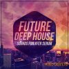 Mainroom Warehouse Future Deep House Sounds For XFER RECORDS SERUM (FXP)
