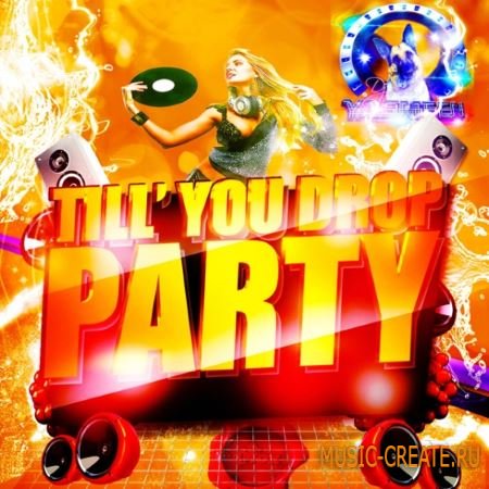 Fox Samples - DJ Yasmeen Party Till You Drop (WAV MiDi) - сэмплы Progressive House