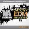 W.A Production What About Catchy EDM Melodies (WAV MiDi) - сэмплы EDM W.A Production What About Catchy EDM Melodies (WAV MiDi) - сэмплы EDM
