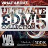 W.A Production What About Ultimate EDM Collection Vol.5 (WAV MiDi) - сэмплы EDM W.A Production What About Ultimate EDM Collection Vol.5 (WAV MiDi) - сэмплы EDM